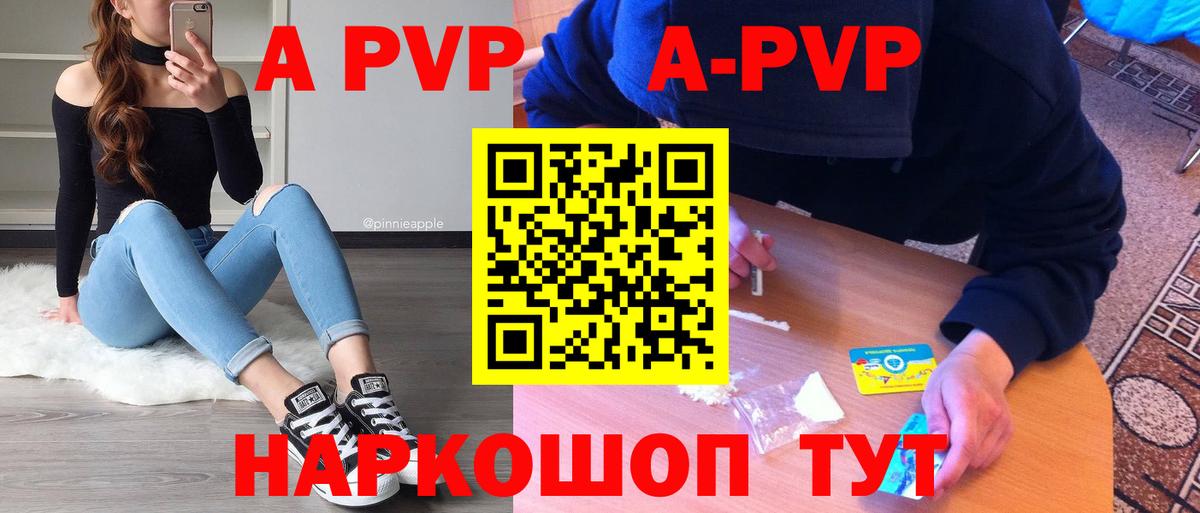 Альфа ПВП СК  А ПВП VHQ  Курчалой  Вход с VPN 