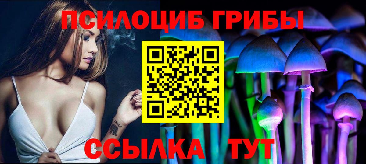 Курчалой  Галлюциногенные грибы Psilocybine cubensis  Вход с VPN 