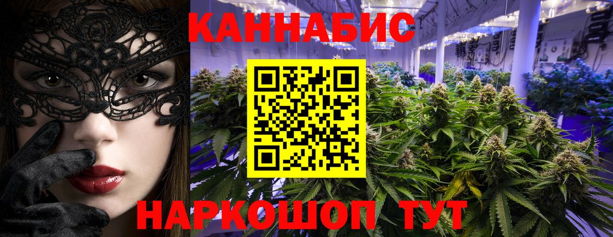 Бошки марихуана индика  Вход с VPN  Марихуана THC 21%  Курчалой  Шишки марихуана SATIVA & INDICA  Конопля индика 